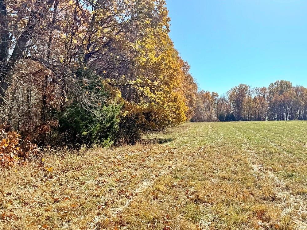 TBD S J Highway — photo 45