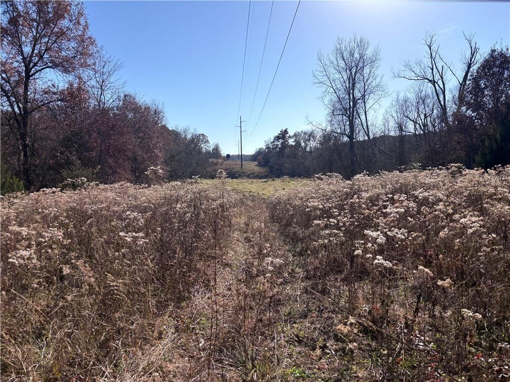 51500 River Road — photo 4
