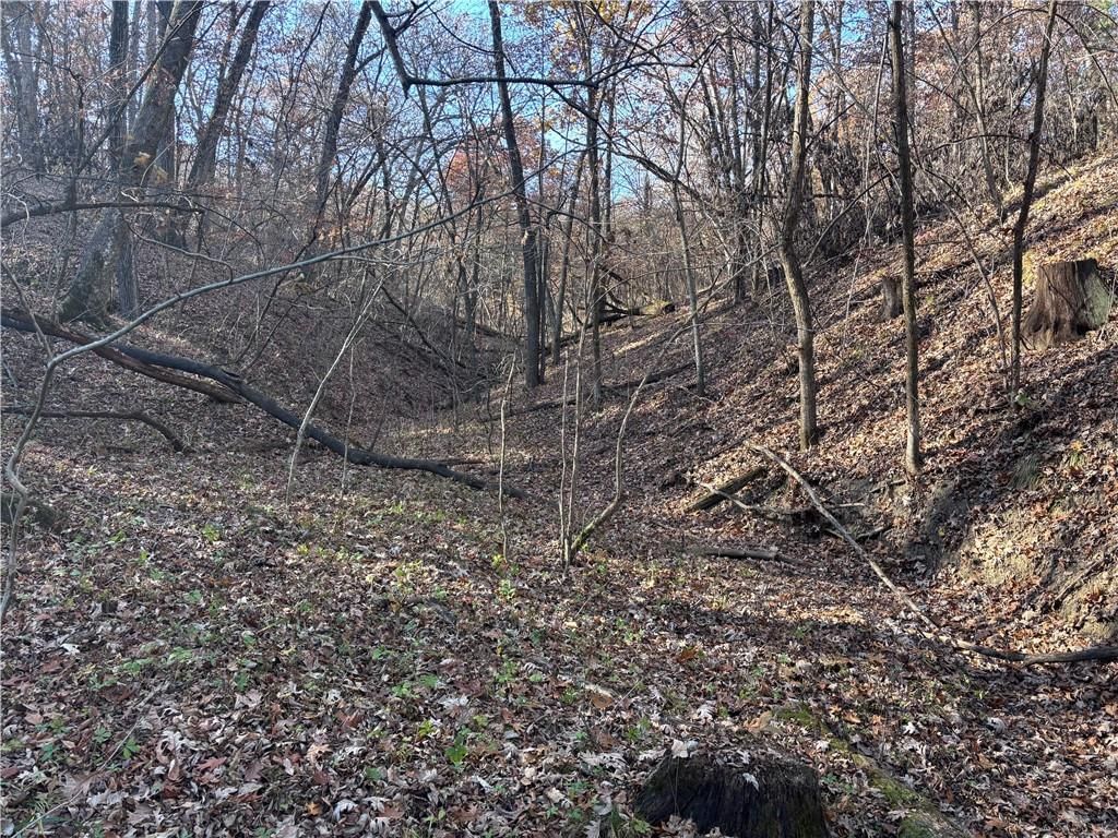 51500 River Road — photo 7