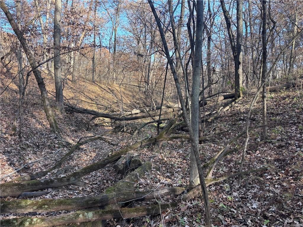 51500 River Road — photo 8