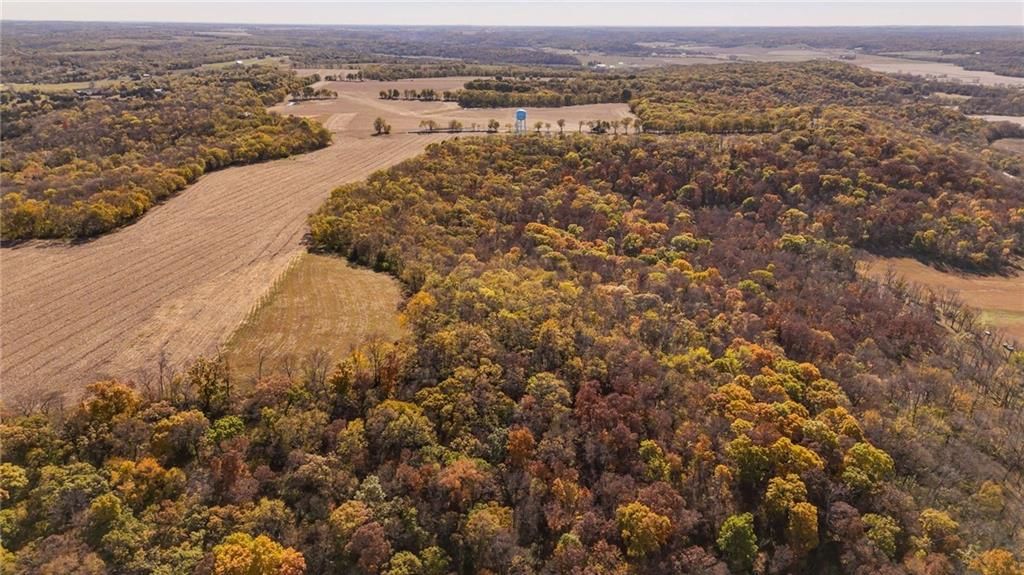 395.5 acres N 1100 Road — photo 17