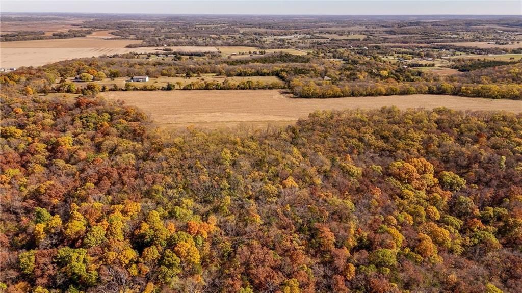 395.5 acres N 1100 Road — photo 18