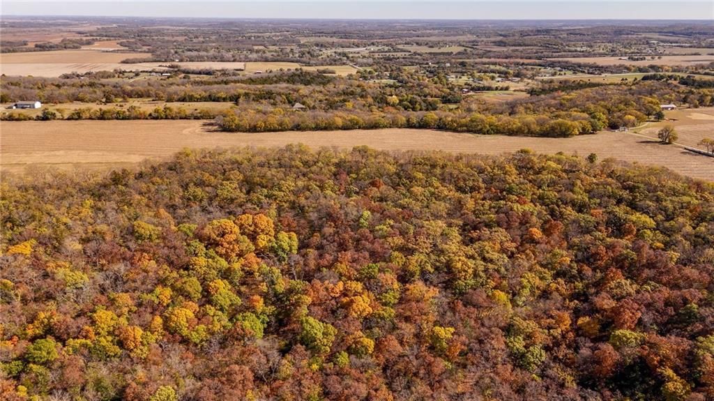 395.5 acres N 1100 Road — photo 19