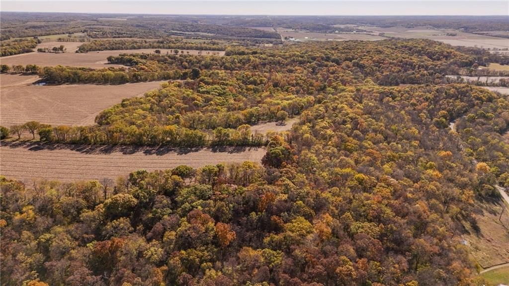 395.5 acres N 1100 Road — photo 21