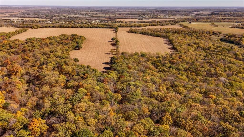 395.5 acres N 1100 Road — photo 26