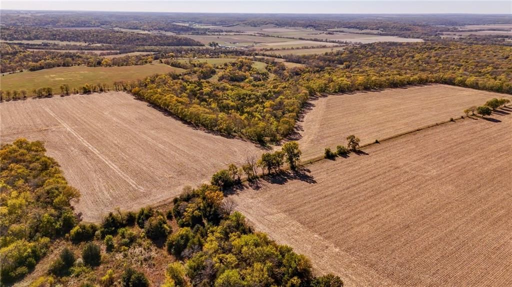 395.5 acres N 1100 Road — photo 39
