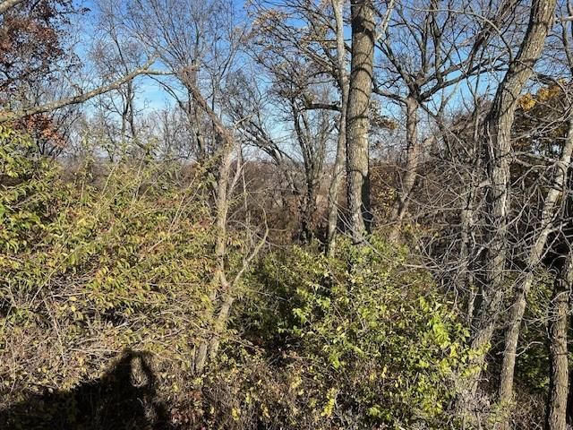 395.5 acres N 1100 Road — photo 41
