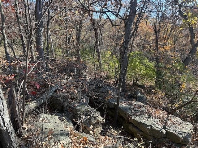395.5 acres N 1100 Road — photo 42