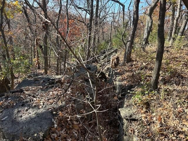 395.5 acres N 1100 Road — photo 43