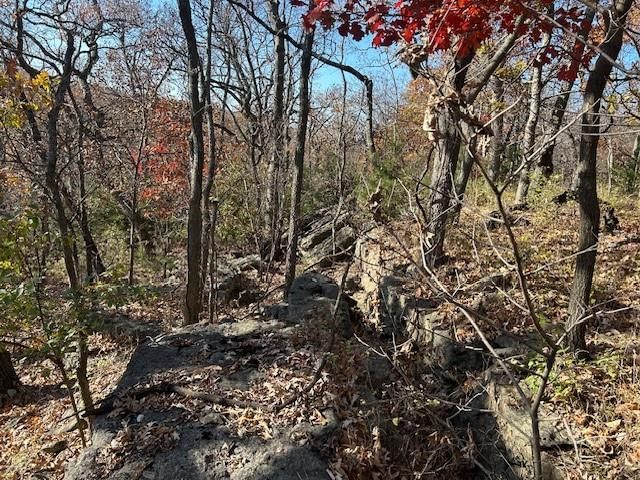 395.5 acres N 1100 Road — photo 44