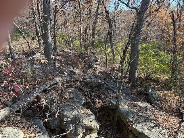 395.5 acres N 1100 Road — photo 45