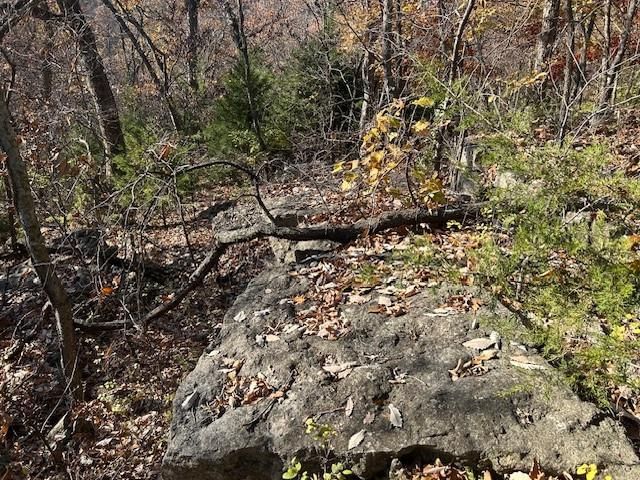 395.5 acres N 1100 Road — photo 46