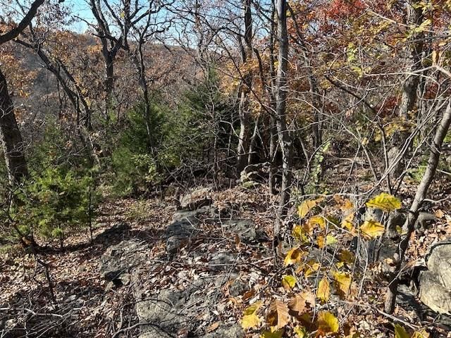 395.5 acres N 1100 Road — photo 47
