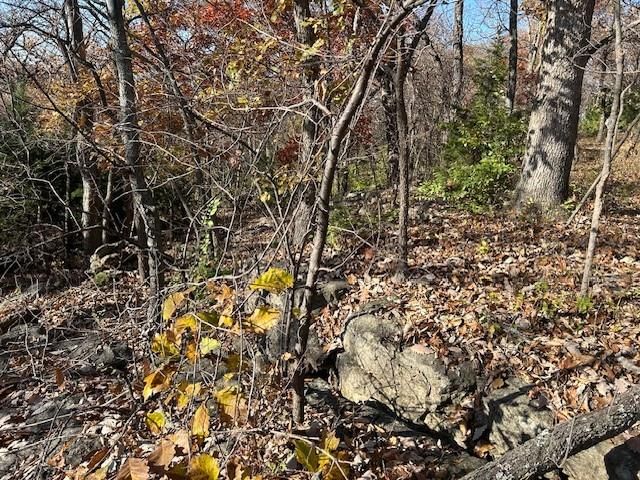 395.5 acres N 1100 Road — photo 48
