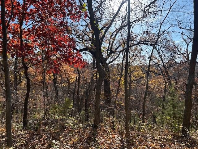 395.5 acres N 1100 Road — photo 49