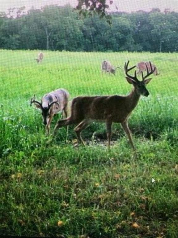 395.5 acres N 1100 Road — photo 59