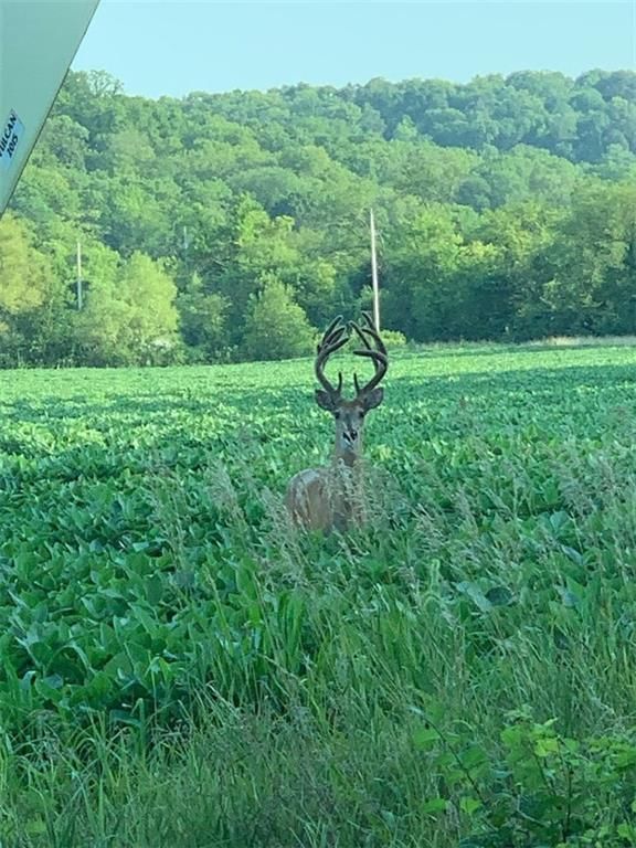 395.5 acres N 1100 Road — photo 60