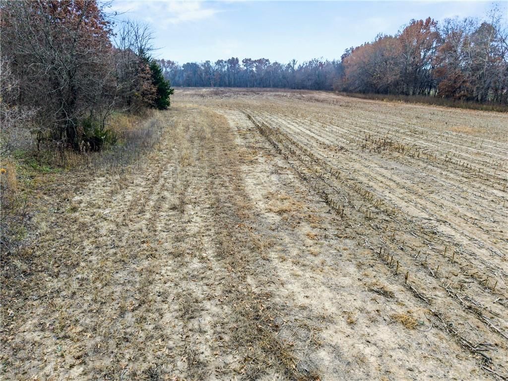 10 Acres 209th Street — photo 17
