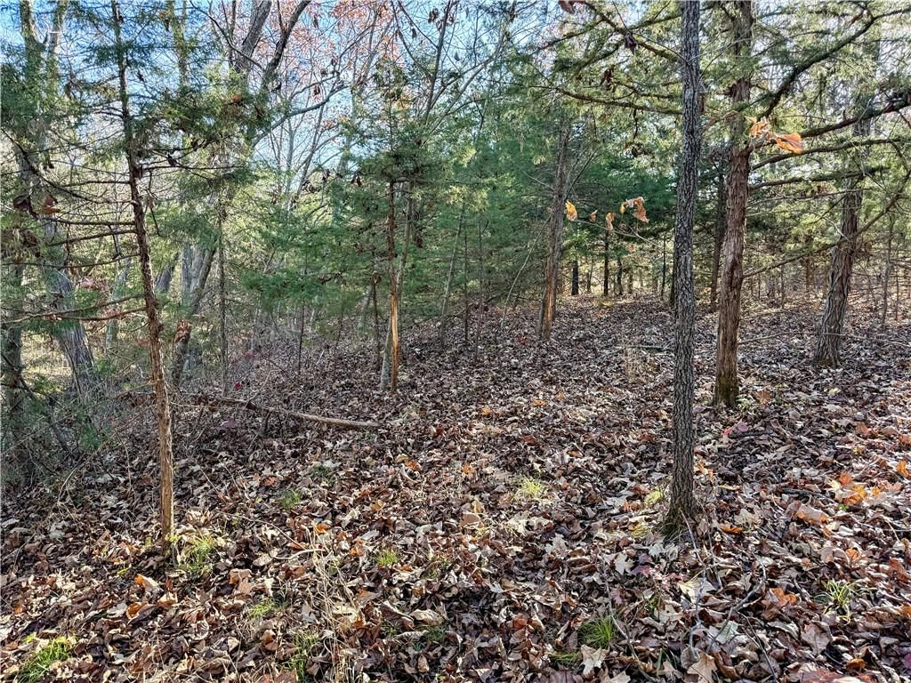 0 Reno Road — photo 11
