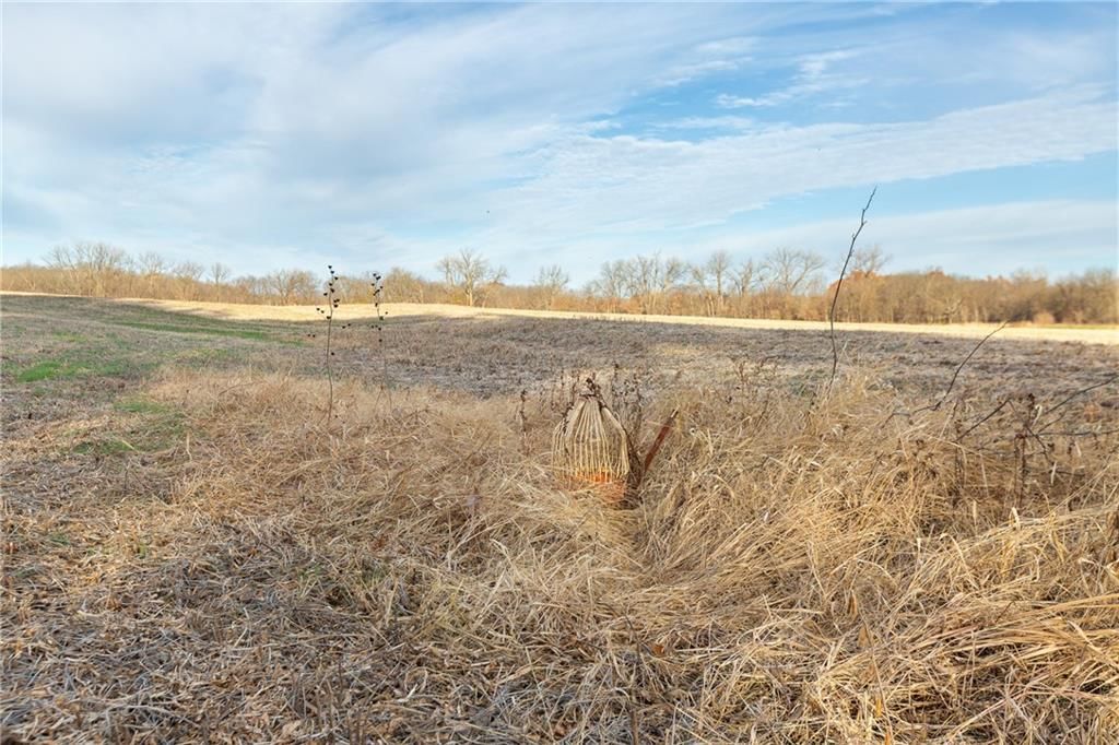 TBD Sparks Road — photo 10