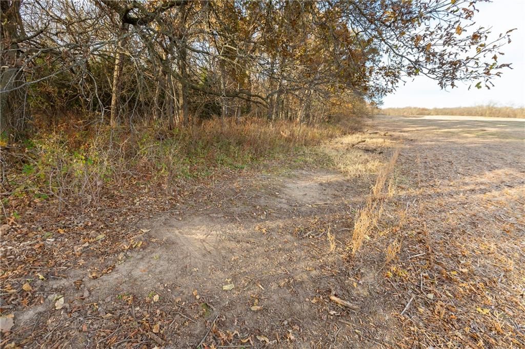 TBD Sparks Road — photo 12