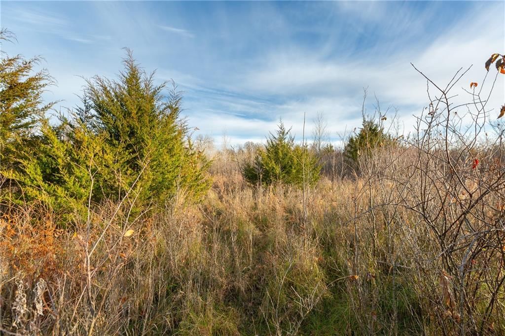 TBD Sparks Road — photo 16