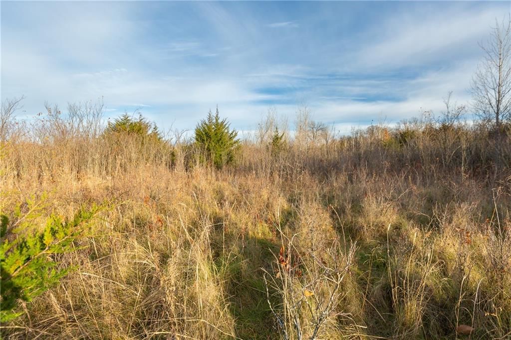 TBD Sparks Road — photo 18