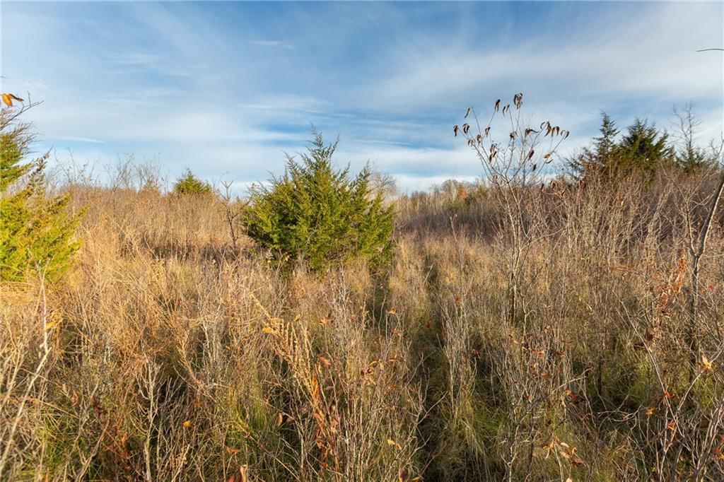 TBD Sparks Road — photo 19