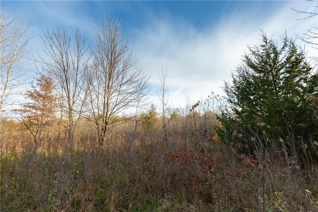 TBD Sparks Road — photo 20