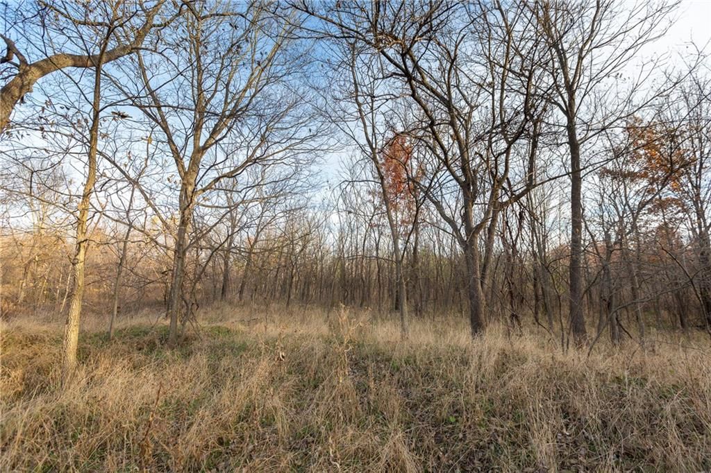 TBD Sparks Road — photo 22