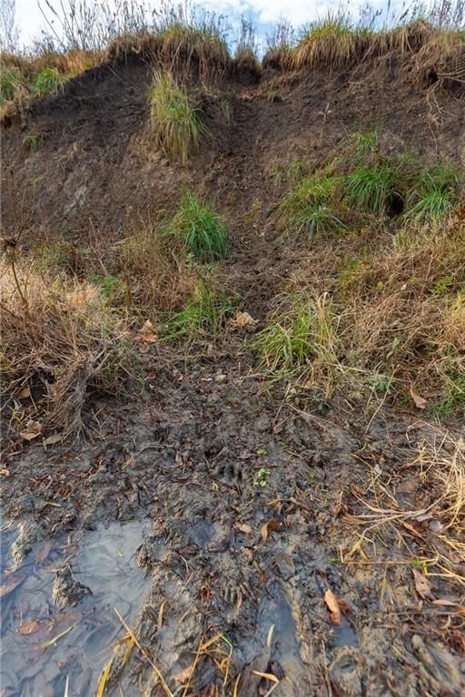 TBD Sparks Road — photo 25