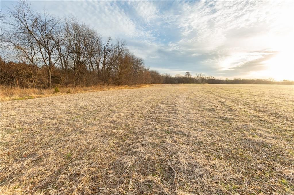 TBD Sparks Road — photo 37
