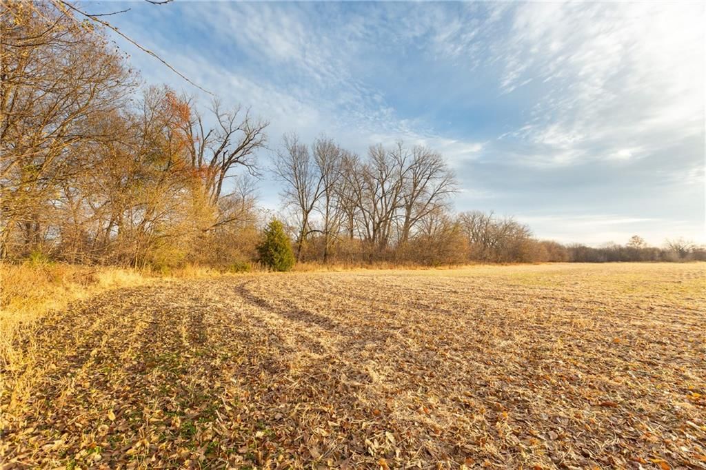 TBD Sparks Road — photo 42