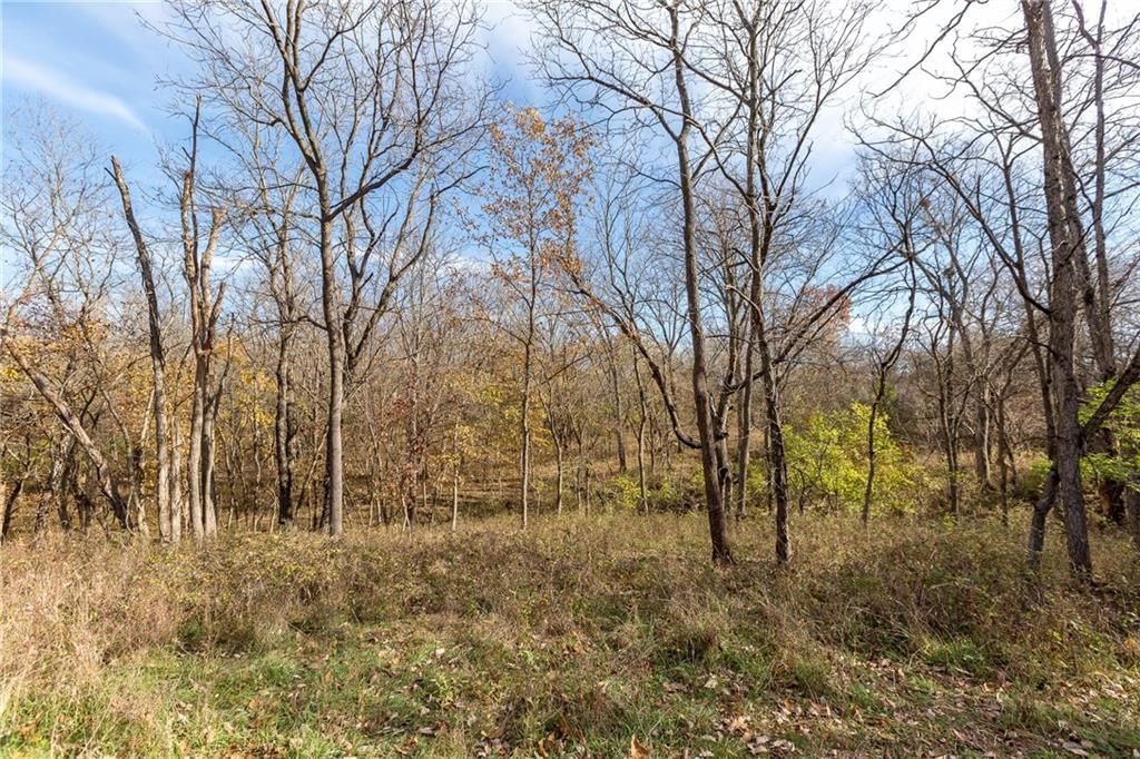TBD W Oak Street — photo 47