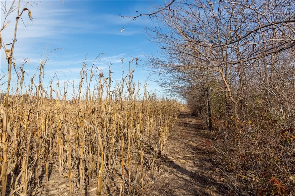 TBD W Oak Street — photo 65