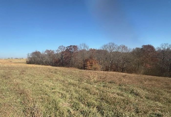 NE Mt. Olivet Road — photo 2