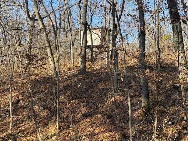 NE Mt. Olivet Road — photo 6