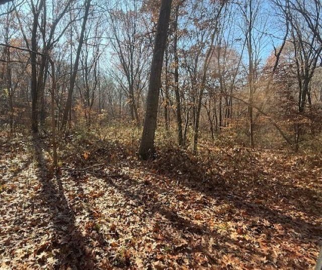 NE Mt. Olivet Road — photo 7