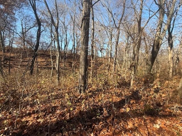 NE Mt. Olivet Road — photo 8