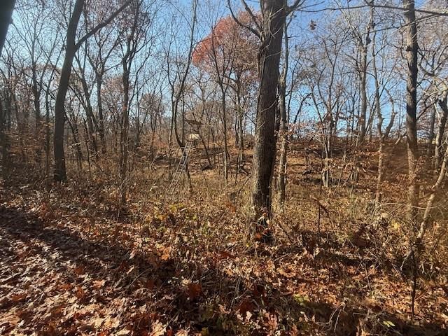 NE Mt. Olivet Road — photo 9