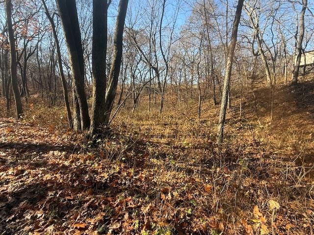 NE Mt. Olivet Road — photo 10