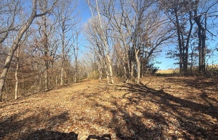 NE Mt. Olivet Road — photo 19
