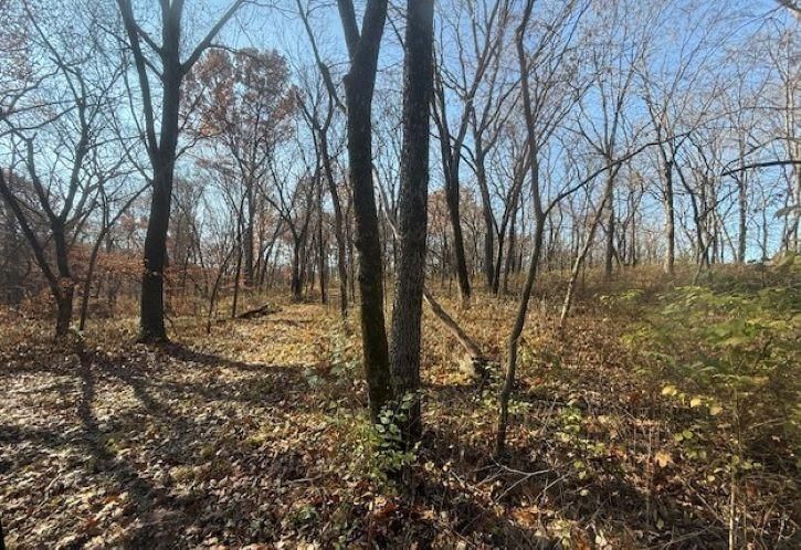 NE Mt. Olivet Road — photo 20