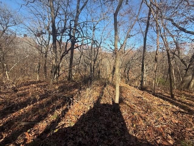 NE Mt. Olivet Road — photo 21
