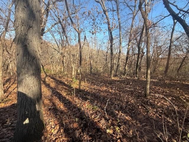 NE Mt. Olivet Road — photo 22
