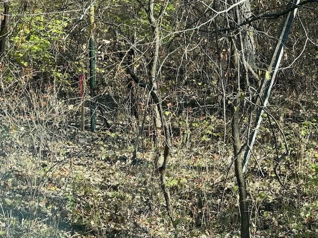 NE Mt. Olivet Road — photo 23