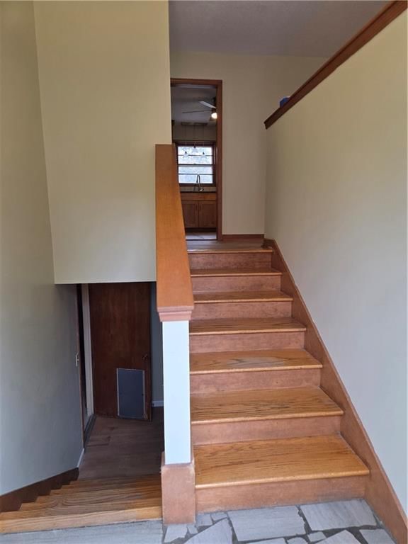313 Goodrich Drive — photo 5