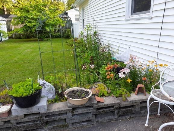 1128 N Clay Street — photo 11