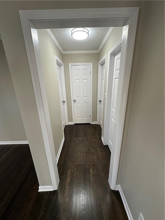 8132 Goodman Street — photo 7