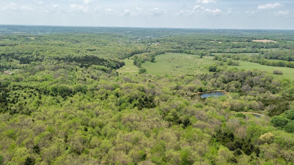 17029 Chieftain Road — photo 55
